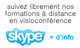 formation par skype