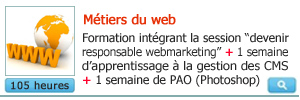 formation aux métiers du web