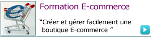 formation ecommerce
