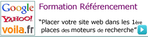 formation référencement web